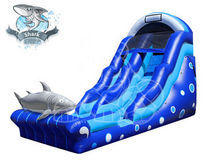 Water Slides & Rides Water Slides & Rides